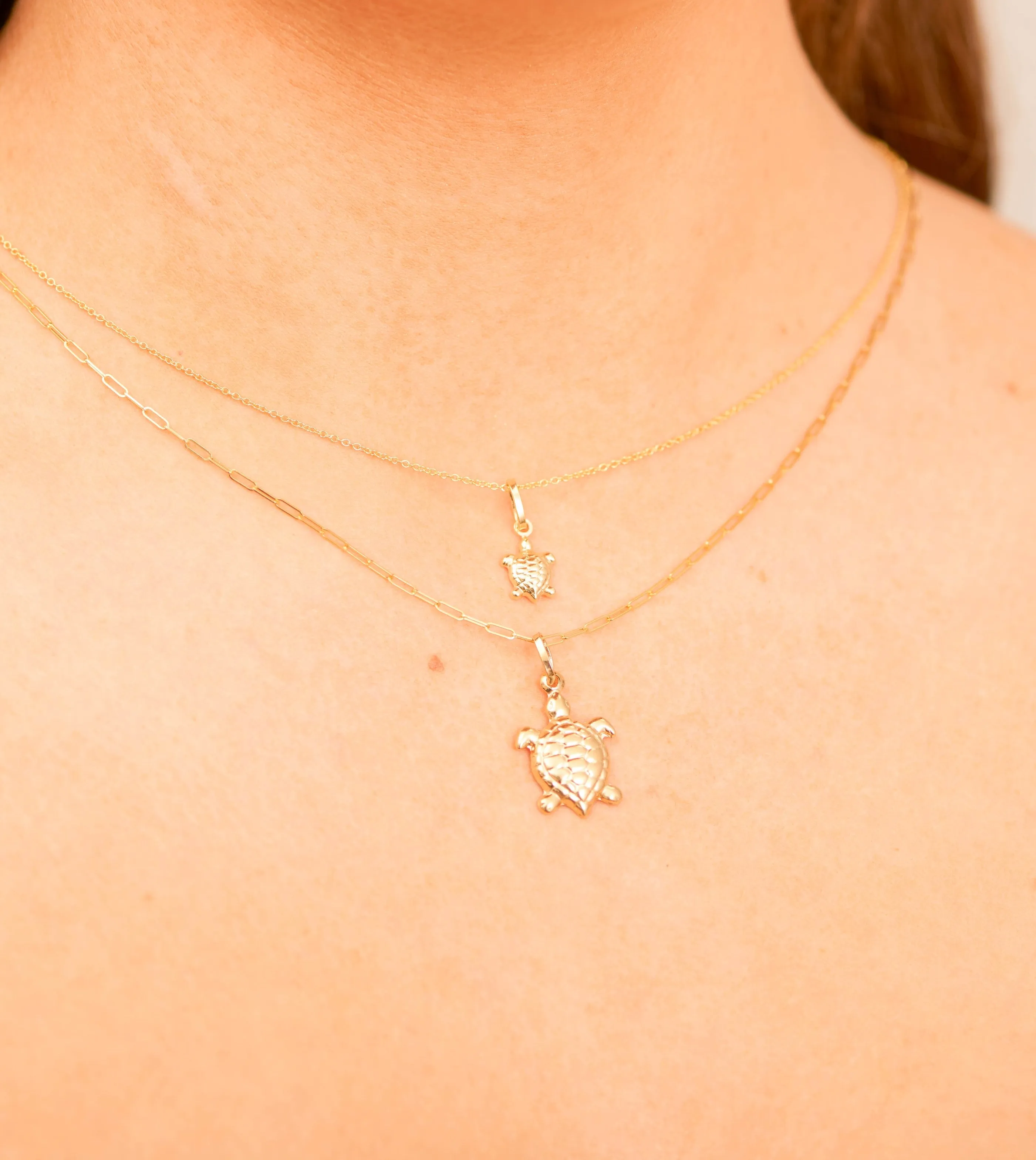 14k Gold Turtle Charm Necklace