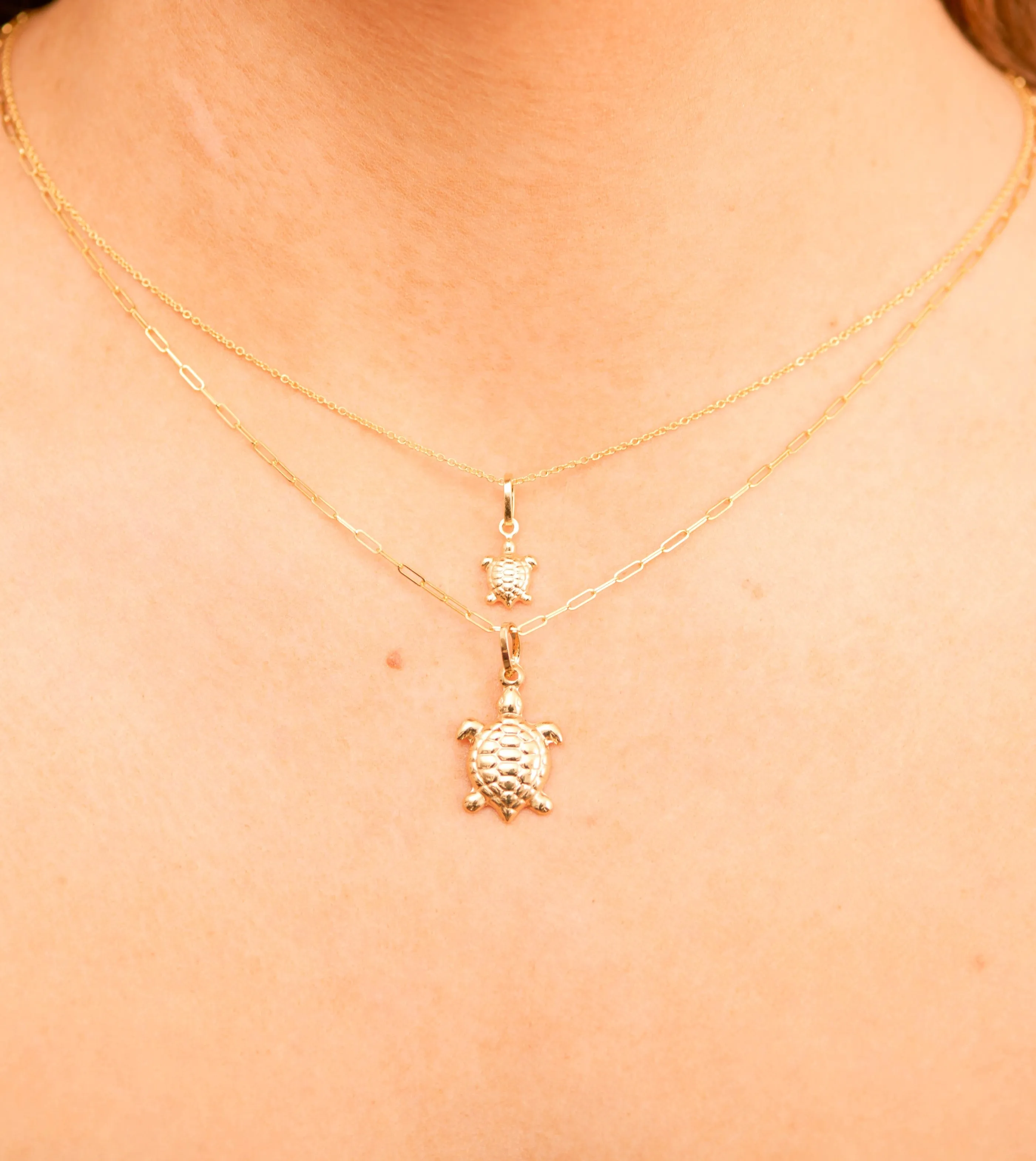 14k Gold Turtle Charm Necklace