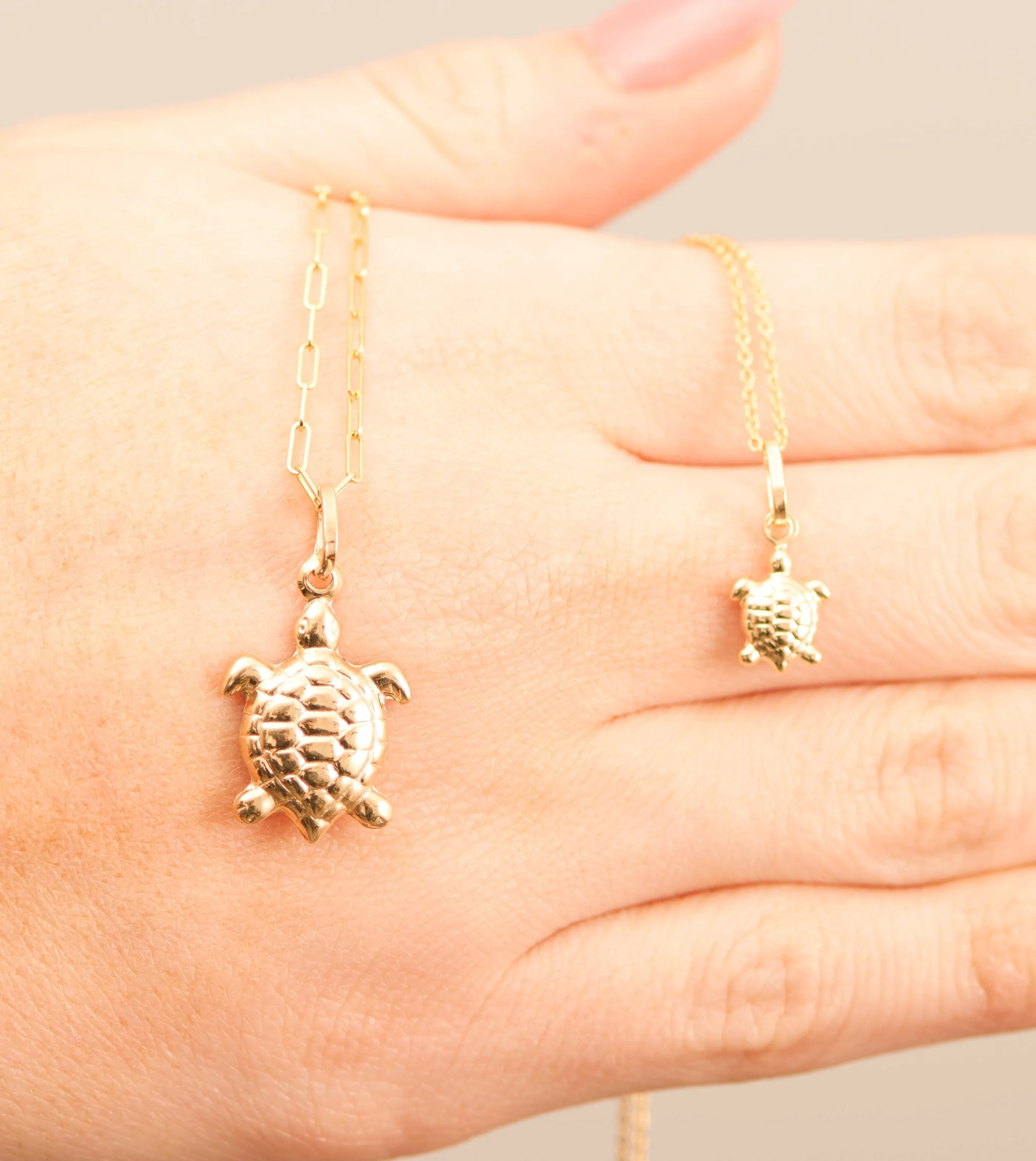 14k Gold Turtle Charm Necklace