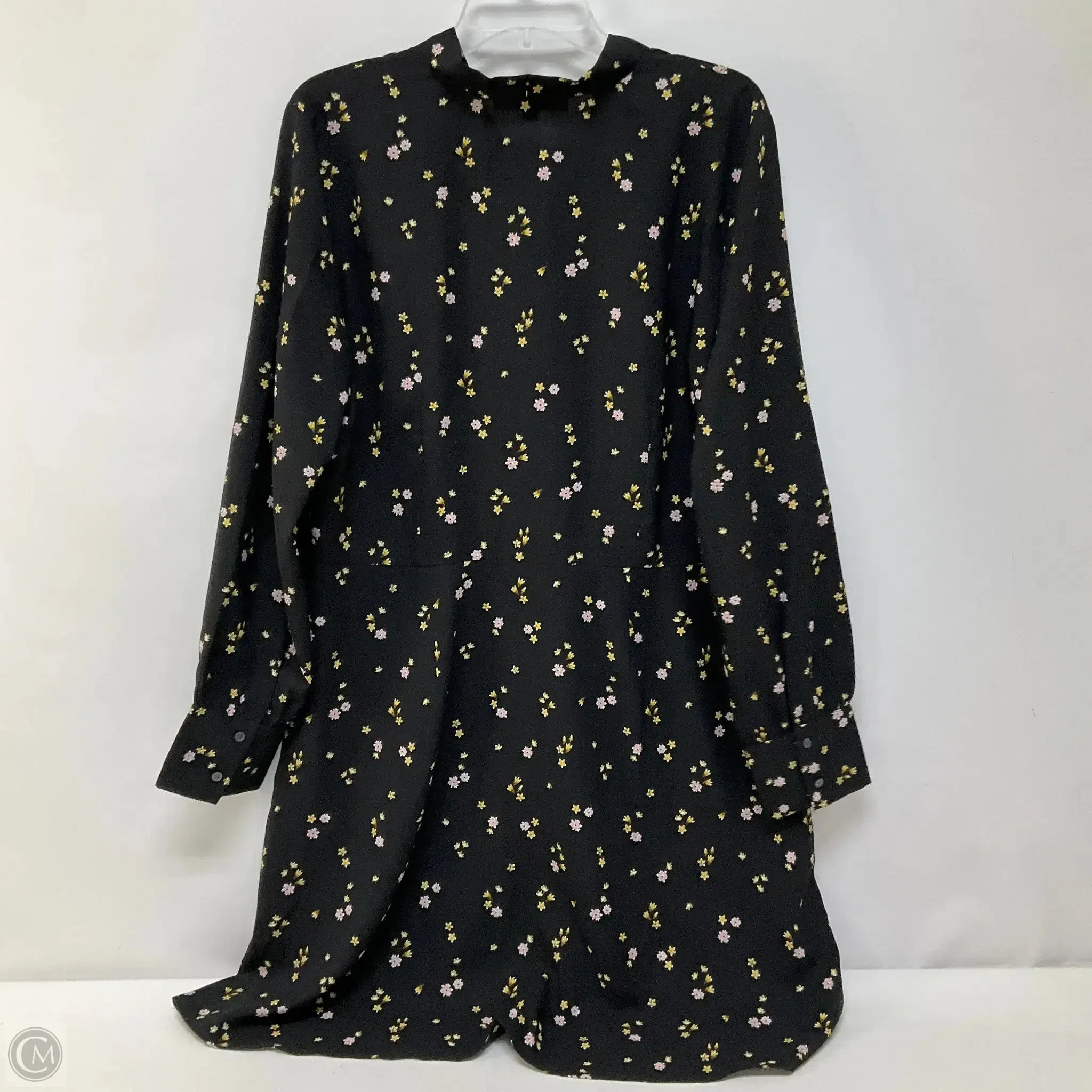 Dress Casual Short By Loft In Floral Print, Size: 14