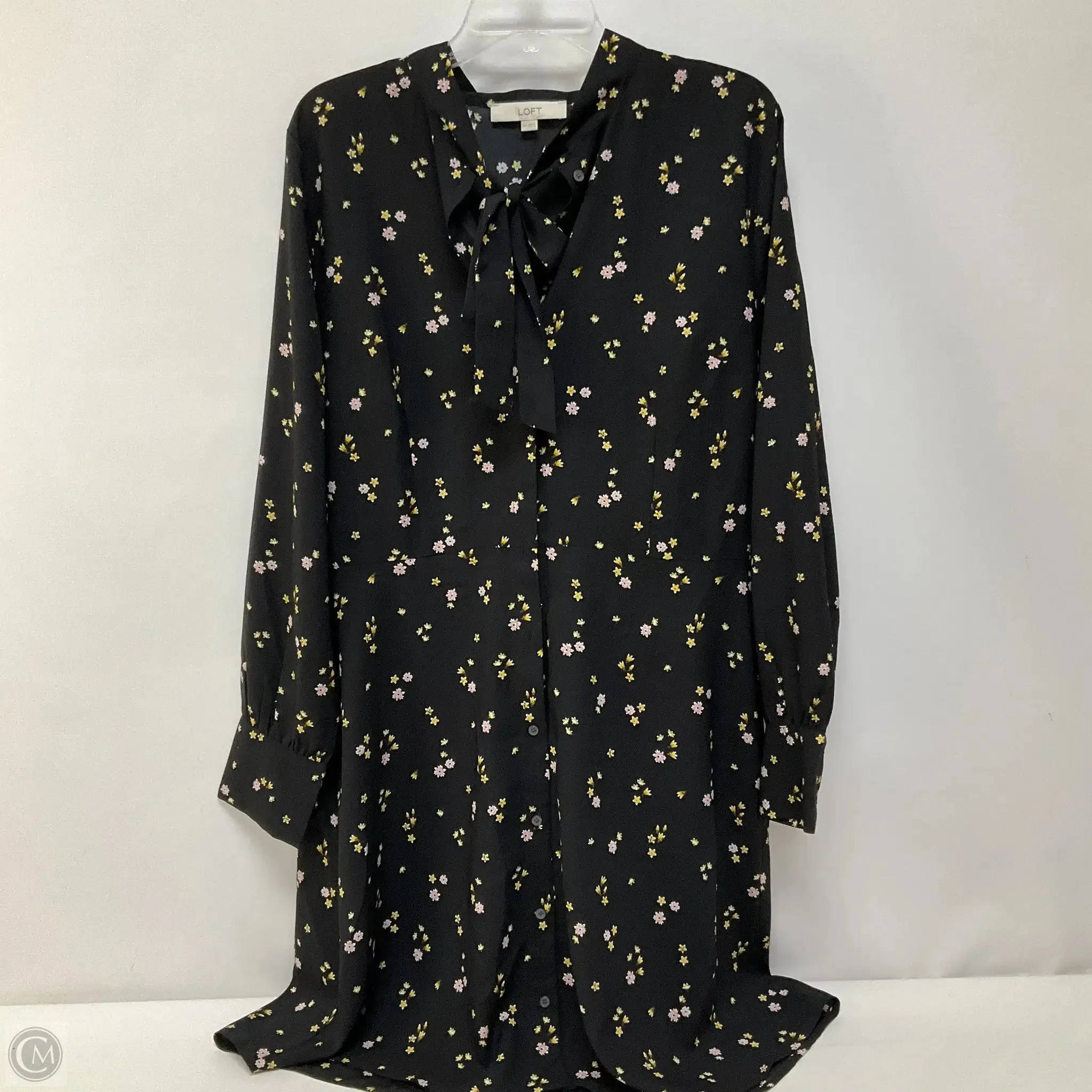 Dress Casual Short By Loft In Floral Print, Size: 14