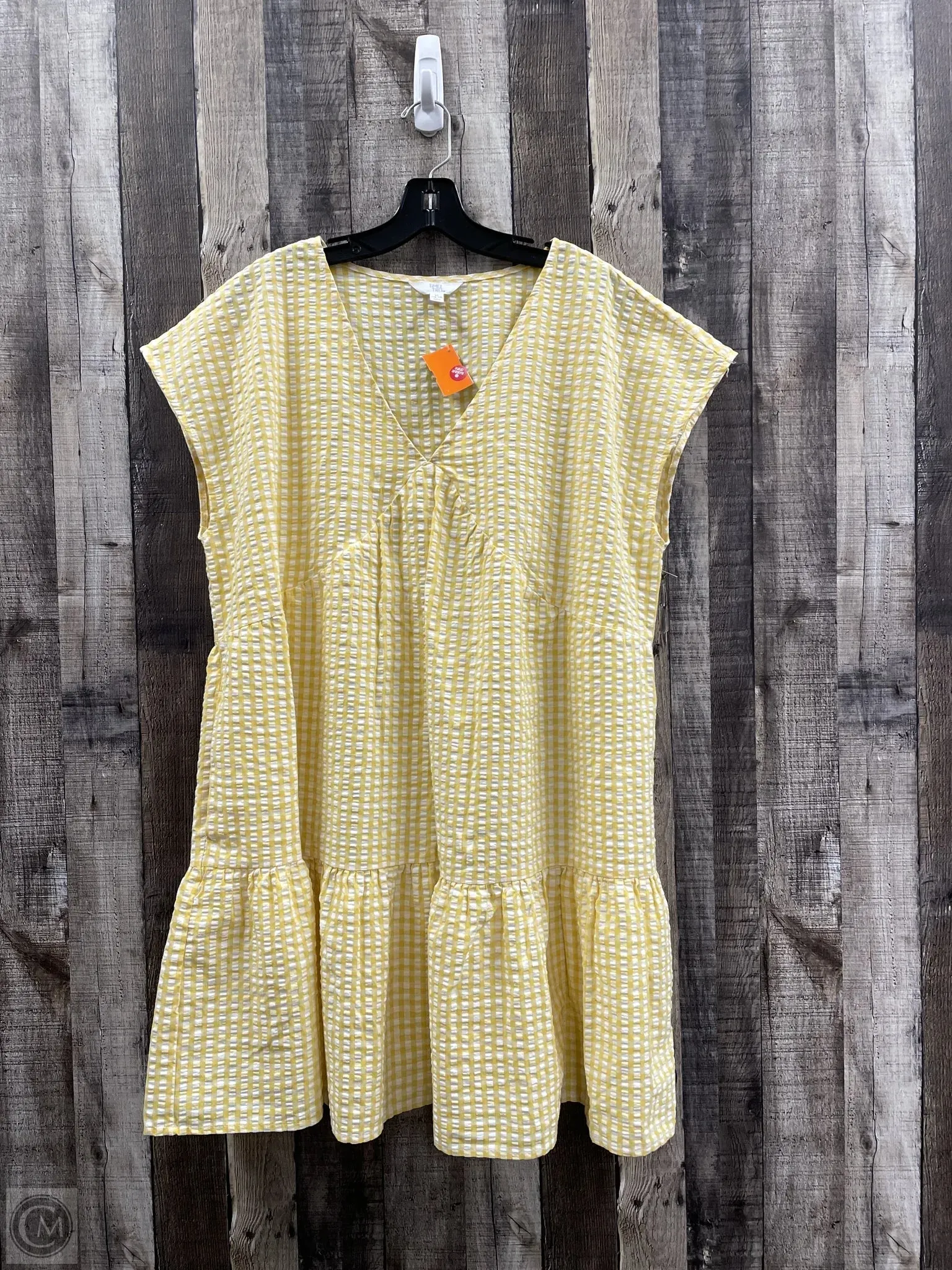 Dress Casual Short By Time And Tru  Size: Xl