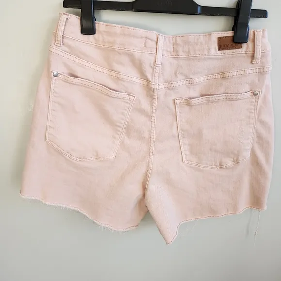 Judy Blue Blush Pink Stretchy Denim Jean Cut Off Shorts Size 1X