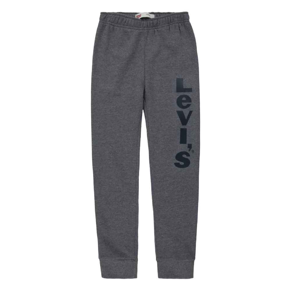 Levi's Grey Sweats